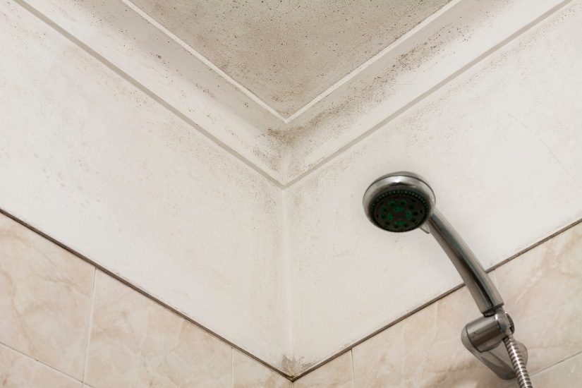 mold on bathroom ceiling above shower head
