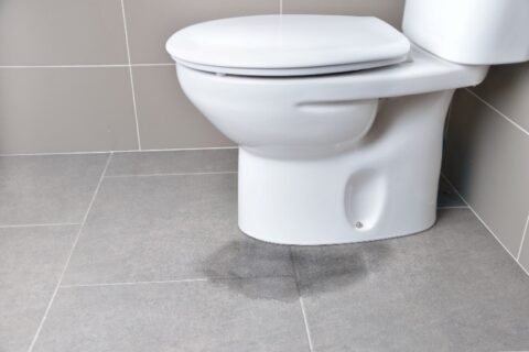 Toilet Water Leaking on Bathroom Floor