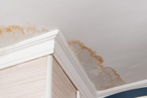 Water damage in ceiling, CA